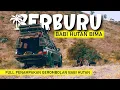 Berburu Hama Babi Hutan di BIMA NTB | FULL Gerombolan Dan Rombongan