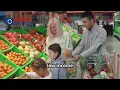How to Use EBT Card in the U S - SNAP Benefits Guide for Immigrants
