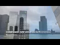 RANDSTAD AS A METROPOLIS