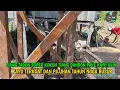 Download Lagu SERBA UGAL UGALAN BIKIN TIANG TADON SUPER KOKOH DAN KUAT MENGGUNAKAN KAYU ULIN DAN BAUD