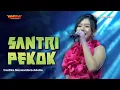 Download Lagu SANTRI PEKOK - Cantika Nuswantoro Adella | OM ADELLA LIVE TEGAL [PERANTARA COMMUNITY]