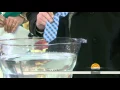 Lori Bergamotto Demonstrates Vardama Water Resistant Tie on Today Show
