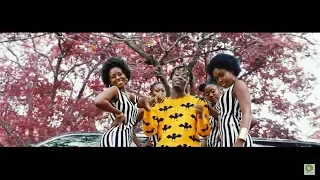 fancy gadam yakachana ft mr eazi official video 