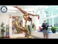 Download Lagu The longest handstand on a person performing a levitation trick - Guinness World Records