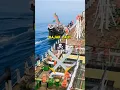 Download Lagu Pria Cerdas Vs Bajak Laut❗🏴‍☠️😮 #shorts #shortvideo