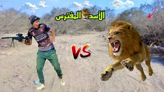 لما اخوك الصغير يروح الغابه ويصطاد أسد علاء حسين 