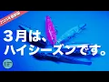 Channel