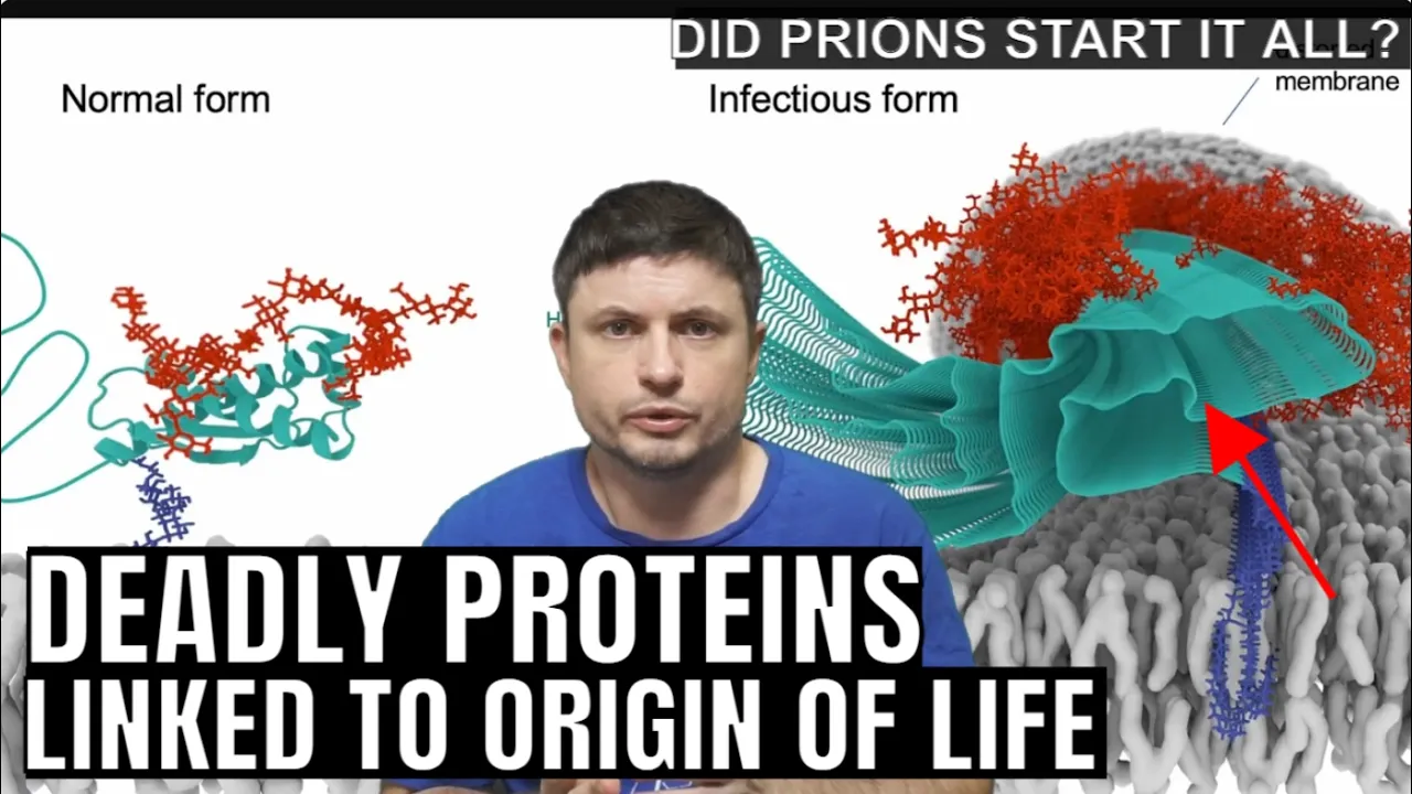 Deadly Proteins Called Prions May Have Started Life on Earth