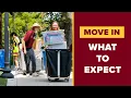 Move In What To Expect