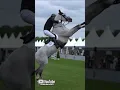 Download Lagu Trouble 👀 #shorts #trending #viral #fail #horse #sports #equestrian #fall