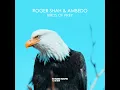 Birds Of Prey (Instrumental Edit)