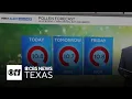 Pollen count remains high in DFW amid clear warm days