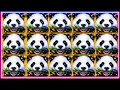 I Hit a INSANE Bonus on Dragon Link Panda Magic Slot Machine