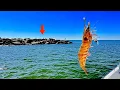 I TOSSED a LIVE SHRIMP along these JETTY ROCKS and CAUGHT DINNER