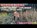Download Lagu WUXIN \u0026 MAMA NGEVLOG BERDUA / CABUT BAMBU ATAU LANJARAN DI MANTAN LADANG TIMUN