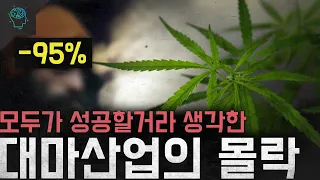 '-95% 파산아니면 적자' 모두가 성공할거라 생각한 '대마산업의 몰락'