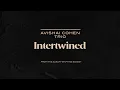 Avishai Cohen Trio - Intertwined (from the album "Shifting Sands")