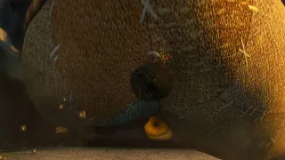 kung fu panda franchise po s butt moments