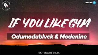 odumodublvck u0026 modenine if you like gym lyrics 