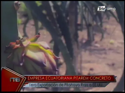 Empresa ecuatoriana Pitarem concretó 1era exportación de pitahaya roja a EE.UU.