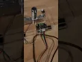 Adafruit Clue reading DFRobot HX711 scale via circuit python over i2c