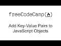 Add Key Value Pairs to JavaScript Objects - Basic Data Structures