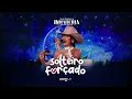 Ana Castela -  Solteiro Forçado  - AO VIVO