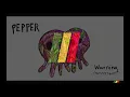 Pepper - Warning (Feat Stick FIgure)