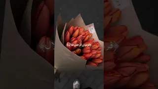 فردوس الرحمن ظلال 