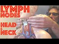Clinical Examination of Head and Neck Lymph Nodes - Clinical Skills