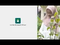 Download Lagu LSV | Remaja | Al Qaunu Adhoo | Adelia MTs Modern Al Azhary Ajibarang | Banyumas (16)