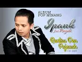 Download Lagu IPANK FEAT RAYOLA RANTAU DEN PAJAUAH full album