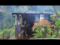 Download Lagu kegiatan Rutin Selama Tinggal Di Pondok Kebun Hutan - Di temani Hujan Gerimis Dan Secangkir teh