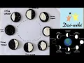 Phases of the Moon Art with Oreo cookies and education for