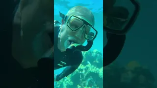 Incredible experience with Sail Maui! Everything about this trip exceeded our expectations @sailmaui