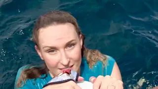 SHUT UP and JUMP! Live Bait – Gulf of Costa Rica | SMLS S8E17