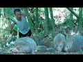 Download Lagu A giant rat nest appeared in the forest and the rich CEO's unexpected way of handling it 
