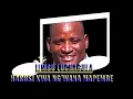 Download Lagu LIMBU LUCHAGULA HARUSI KWA NG'WANA MAPEMBE CREATIONS BY MAGIC STUDIO {2021} 0766031842