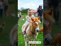 Download Lagu La ilaha illallah🕌Zikr New Born Baby Reciting Babies Quran Status#cute​#islamic​#youtubeshorts​#cat​