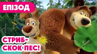 💥 Нова серія 💥 Стриб-скок пес! 🪄🐶 150 серія 🎬 Мультики для дітей | Маша та Ведмідь