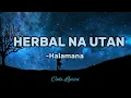 Download Lagu HERBAL NA UTAN : Rudy Tagsip of Halamana (Lyrics)