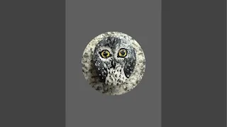 Little Owl Studio | Balaji Anbazhagan is live!
