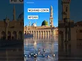 Lagu MIHRAB CINTA-AFGAN  #shorts #liriklagu #liriklaguindonesia #videomusik #music