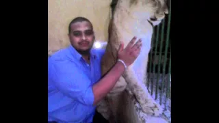 مهرجان حكاية الاثنين استديو مزيكا دندنها