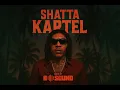 Download Lagu Shatta Kartel Mix by DJ B SOUND