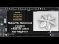 MatrixGold Advanced surface modeling basics