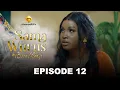 Download Lagu Série - Sama Wurus - Saison 1 - Episode 12