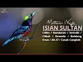 Download Lagu PANCINGAN KONIN GACOR FULL NEMBAK ISIAN TONJOLAN MEWAH COCOK BUAT MASTERAN KOLIBRI NINJA BAHAN - 032