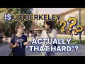Is UC Berkeley hard