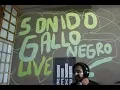 Download Lagu Sonido Gallo Negro - Full Performance (Live on KEXP)